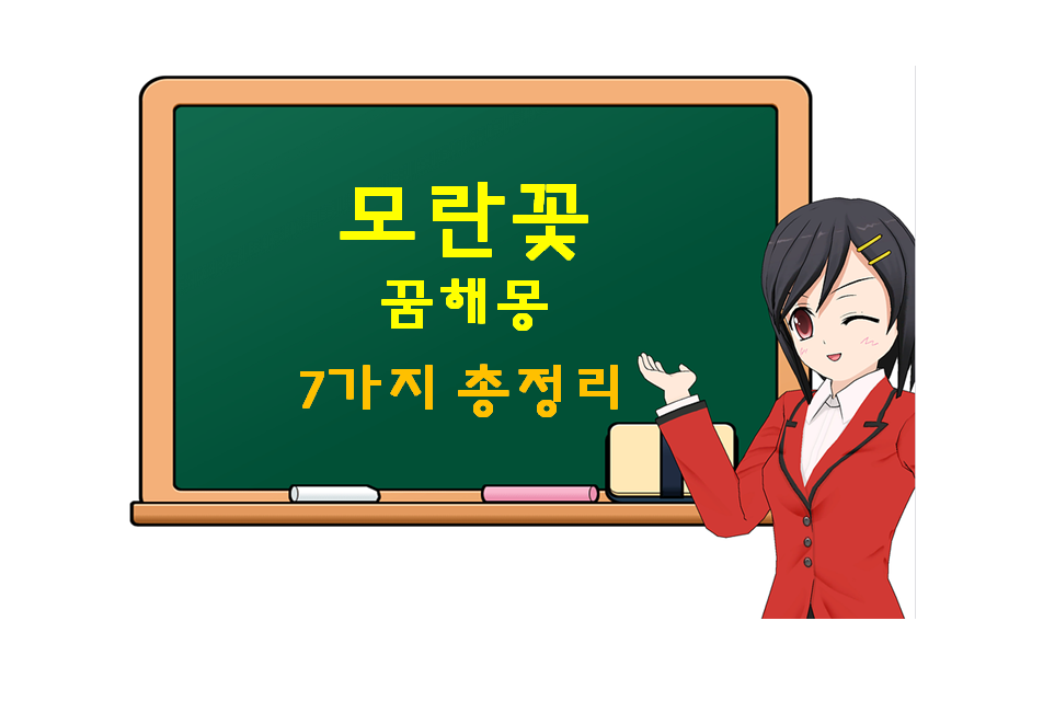  모란꽃 꿈 해몽 7가지 총정리