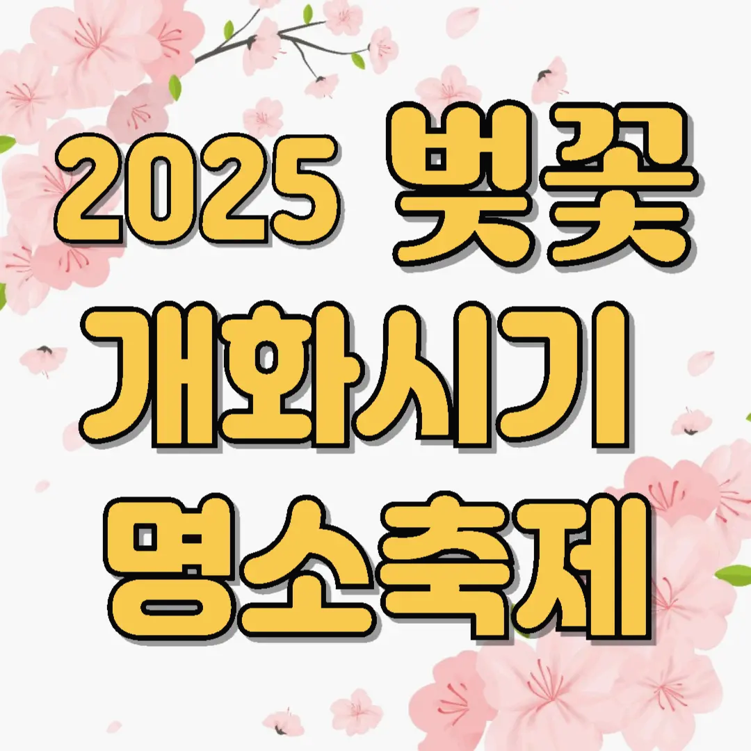 2025 벚꽃 개화시기 전국 벚꽃명소 축제