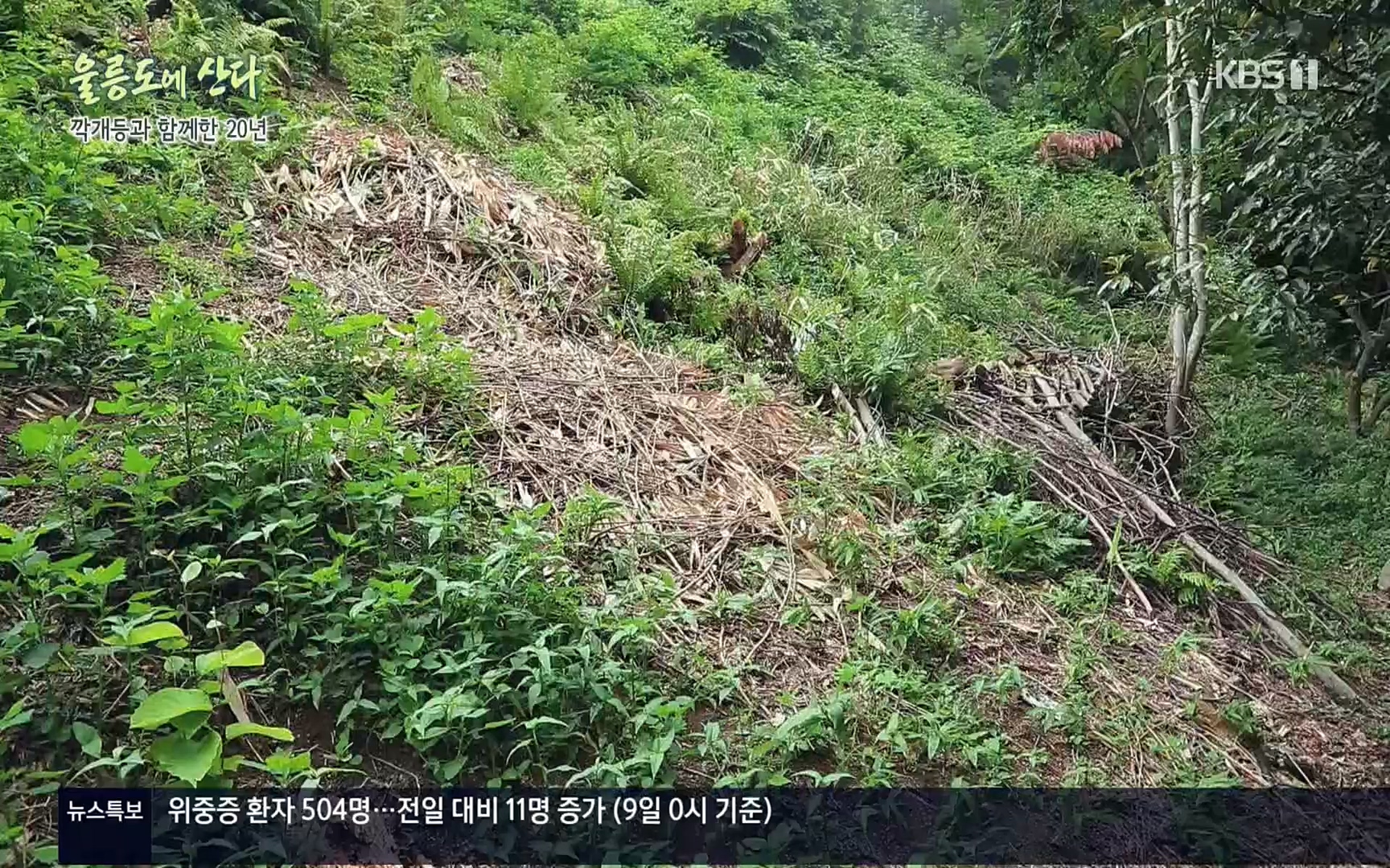 다큐울릉도에산다.E01.220909p.H264-F1RST.mp4_20220912_180603.796.jpg