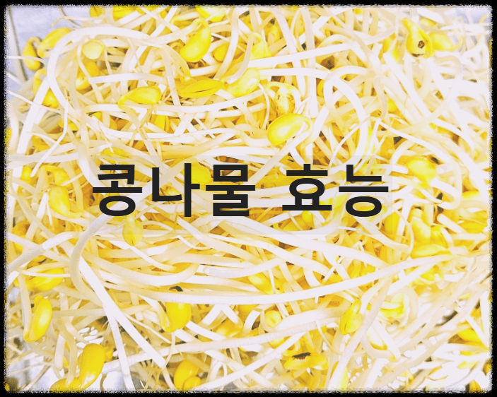 콩나물 효능