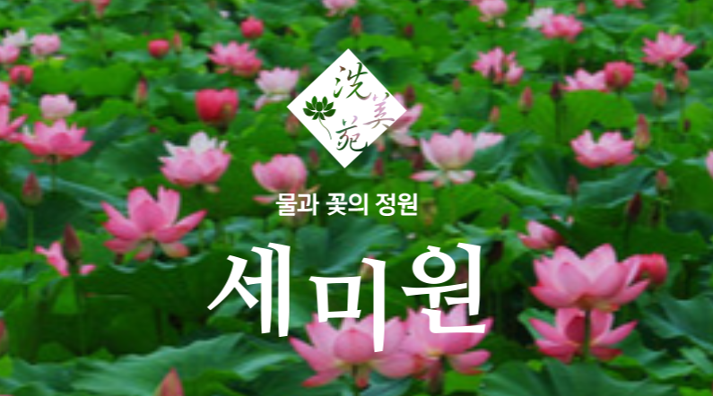 세미원 – 연꽃과 함께하는 힐링