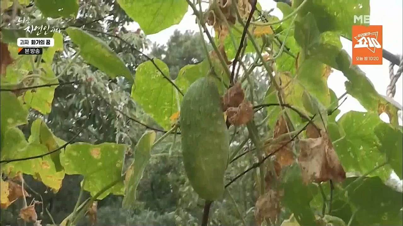 나는 자연인이다.E524.221019.H265p-BULDU.mp4_20221020_174027.070.jpg