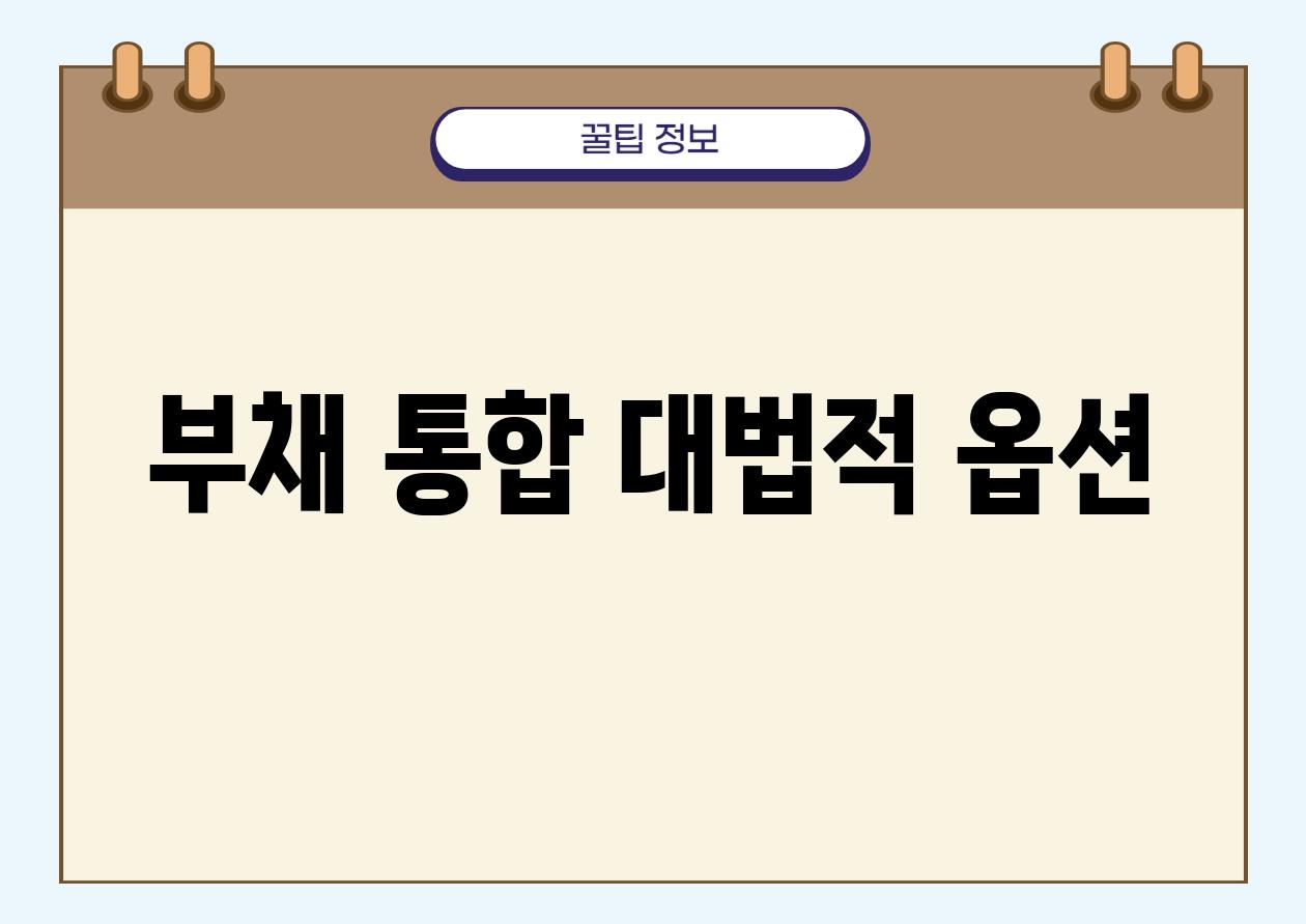 부채 통합 대법적 옵션