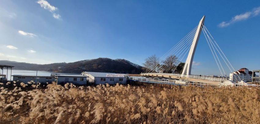 갈대밭 뒤로 조종시험장 건물, 그 뒤로 흰색 사장교, 그 뒤로 야산, 푸른 하늘, 흰구름,