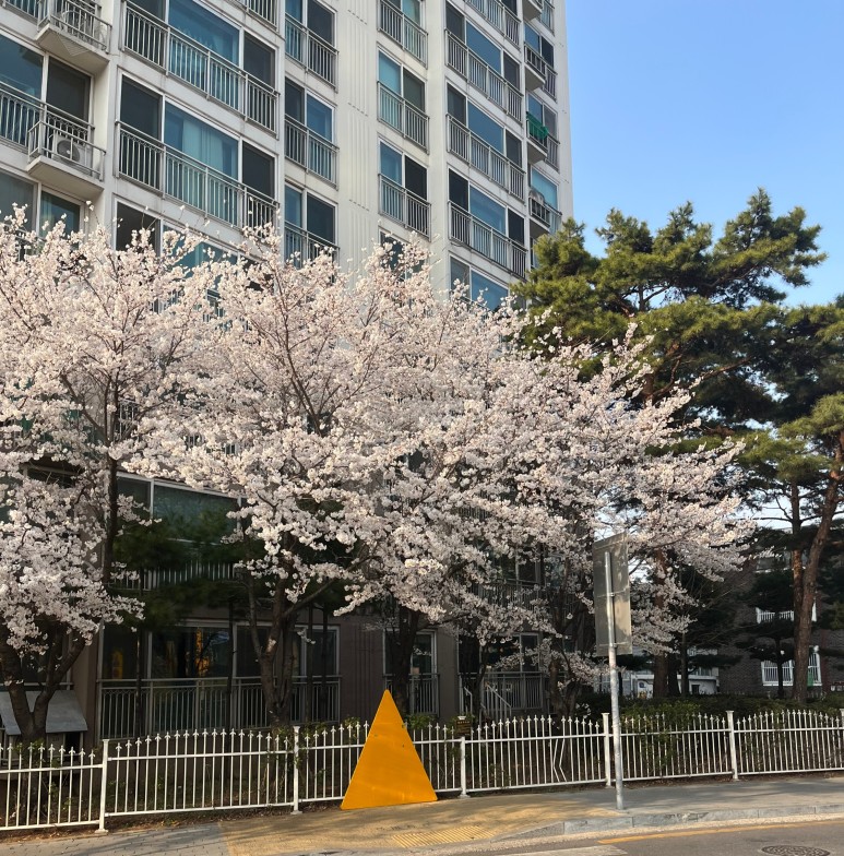 설미용실 이미지