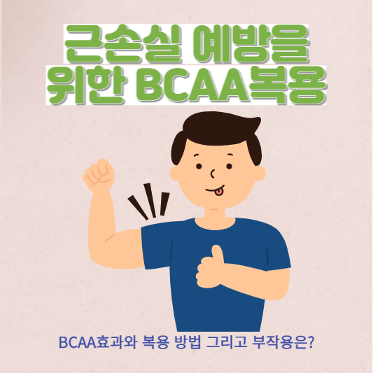  근손실 최소화를 위한 BCAA효과와 섭취 방법 그리고 부작용은?