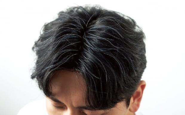 흰 이미지