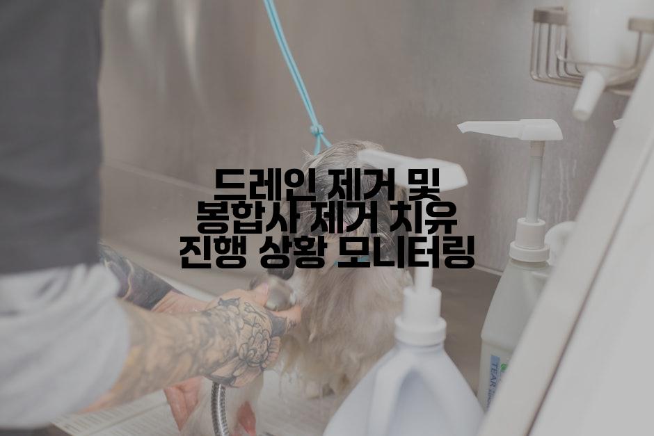 드레인 제거 및 봉합사 제거 치유 진행 상황 모니터링