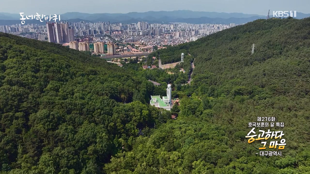 동네 한 바퀴.E279.240623p-NEXT.mp4_20240623_170455.203.jpg