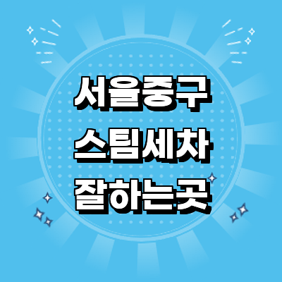 서울 중구 스팀세차