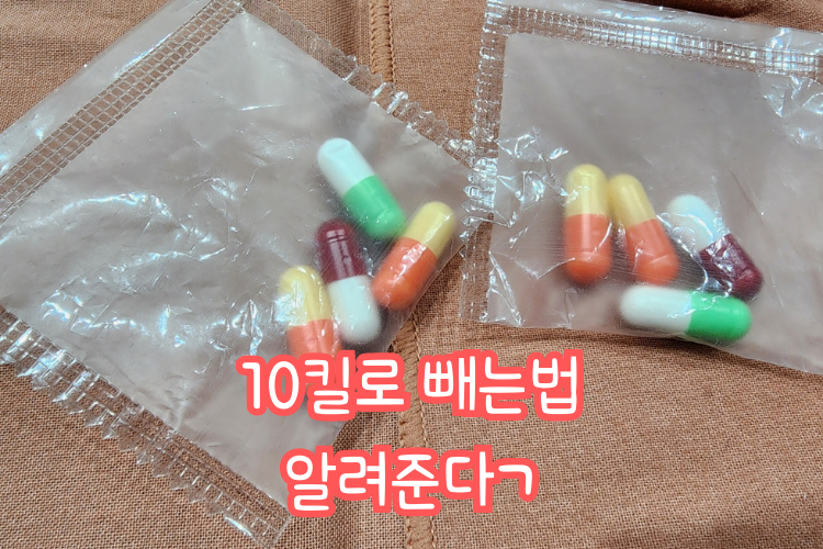 지방사약