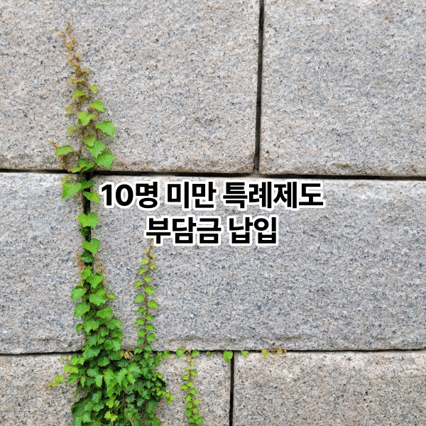 10명 미만 특례제도 부담금 납입에 관한 섬네일