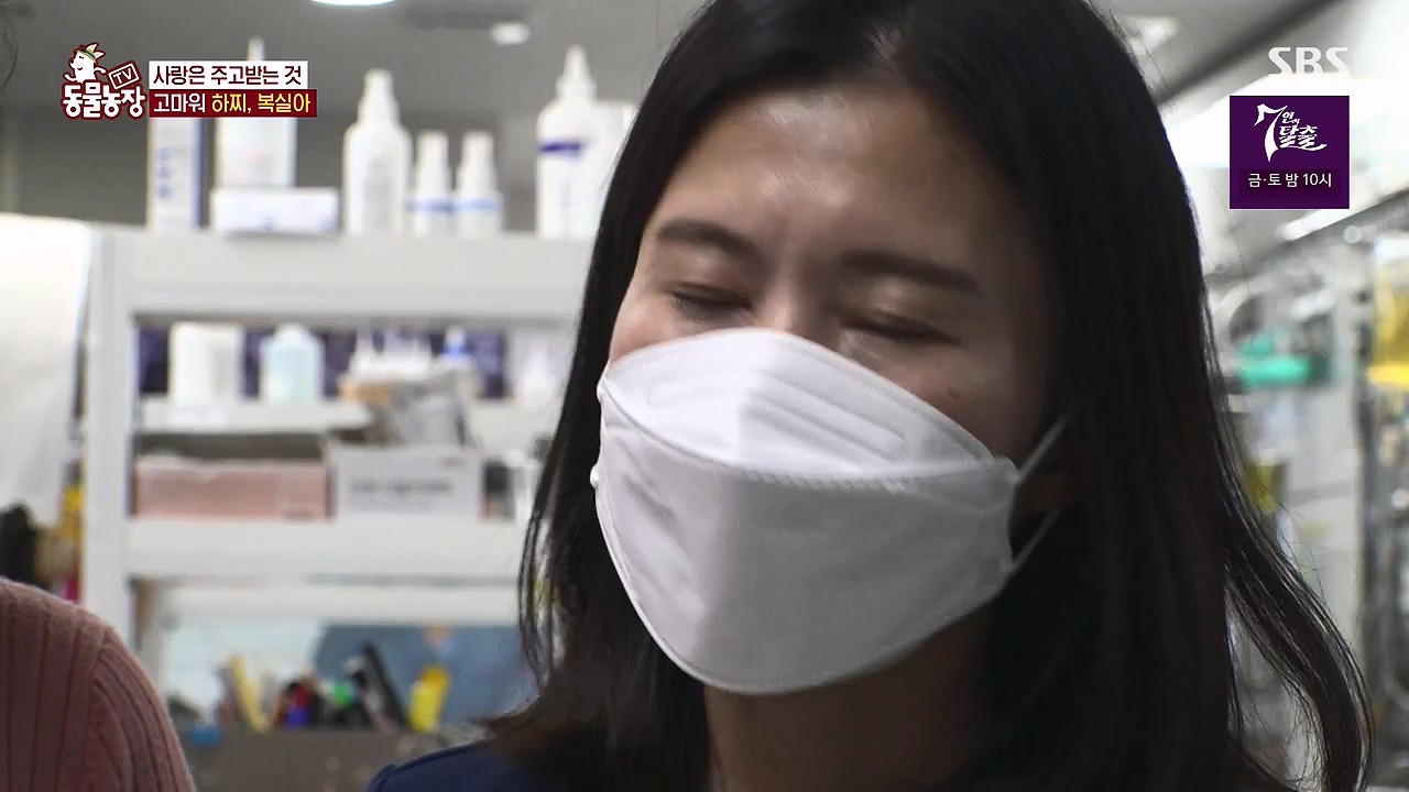 TV 동물농장.E1138.230918p-NEXT.mp4_20230917_174233.149.jpg