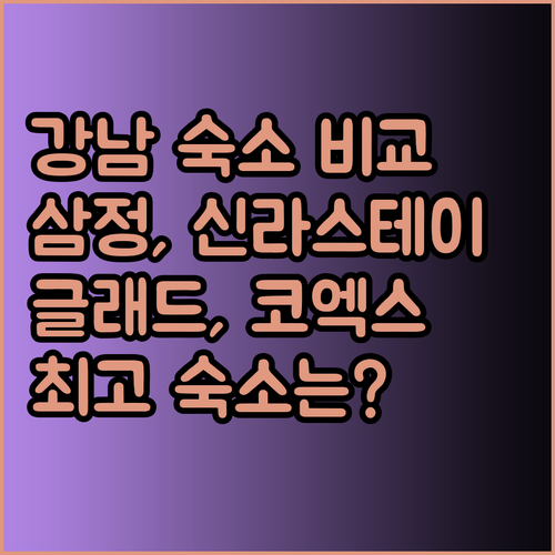 강남 숙소 고민 끝 삼정 호텔 신라스