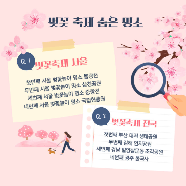 2023년 벚꽃 축제