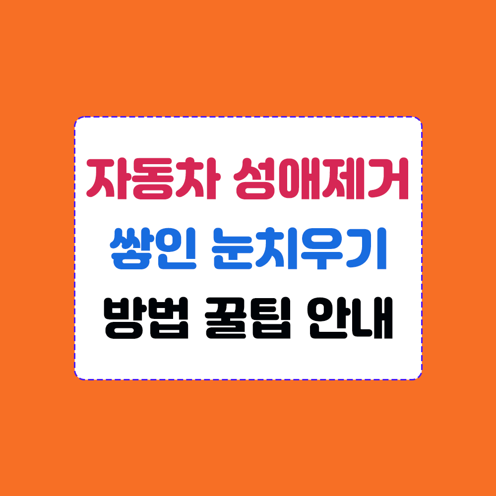 자동차 성애제거 및 눈치우기 하는 방법 안내 이미지