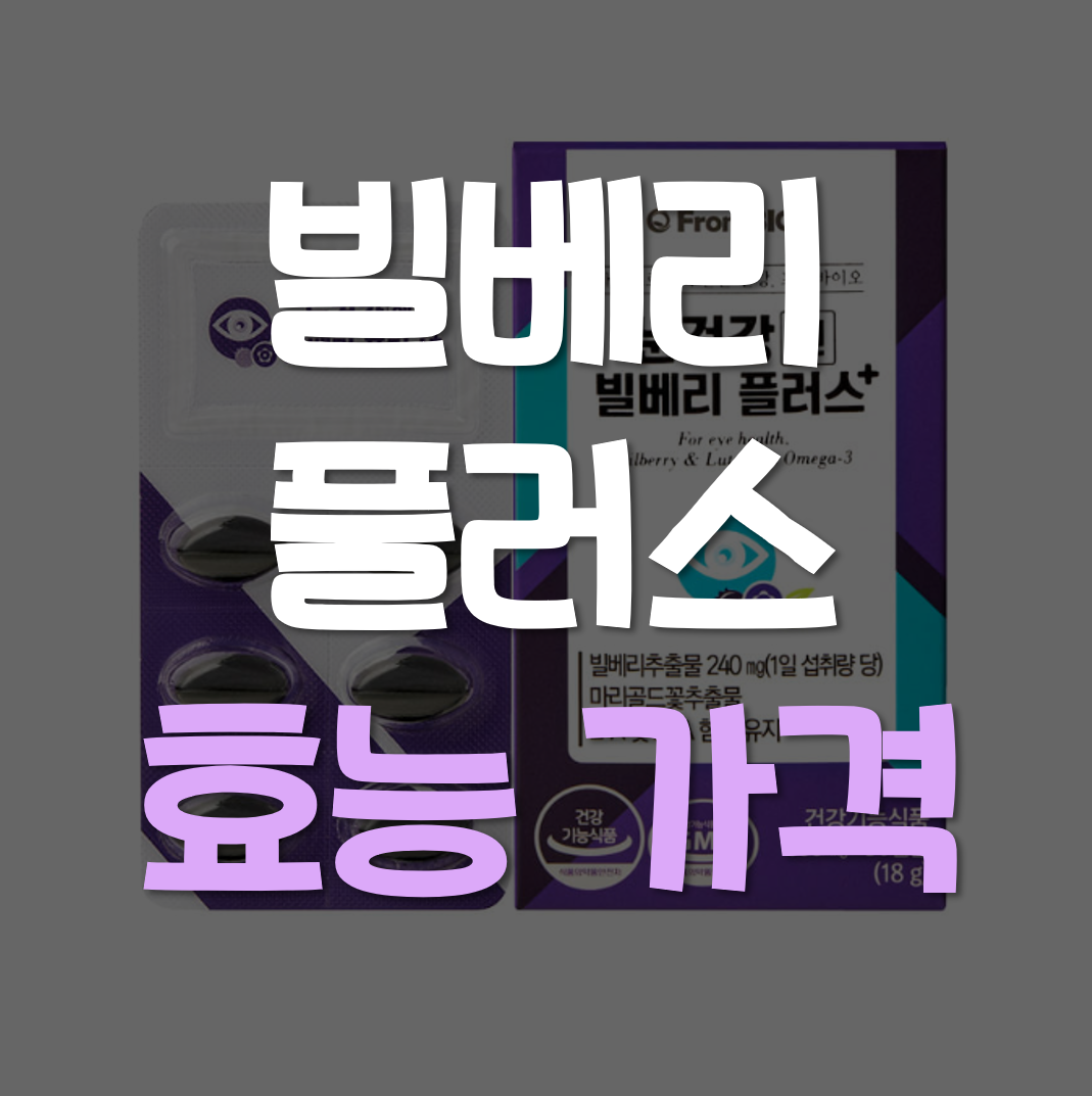  빌베리 플러스 효능 가격