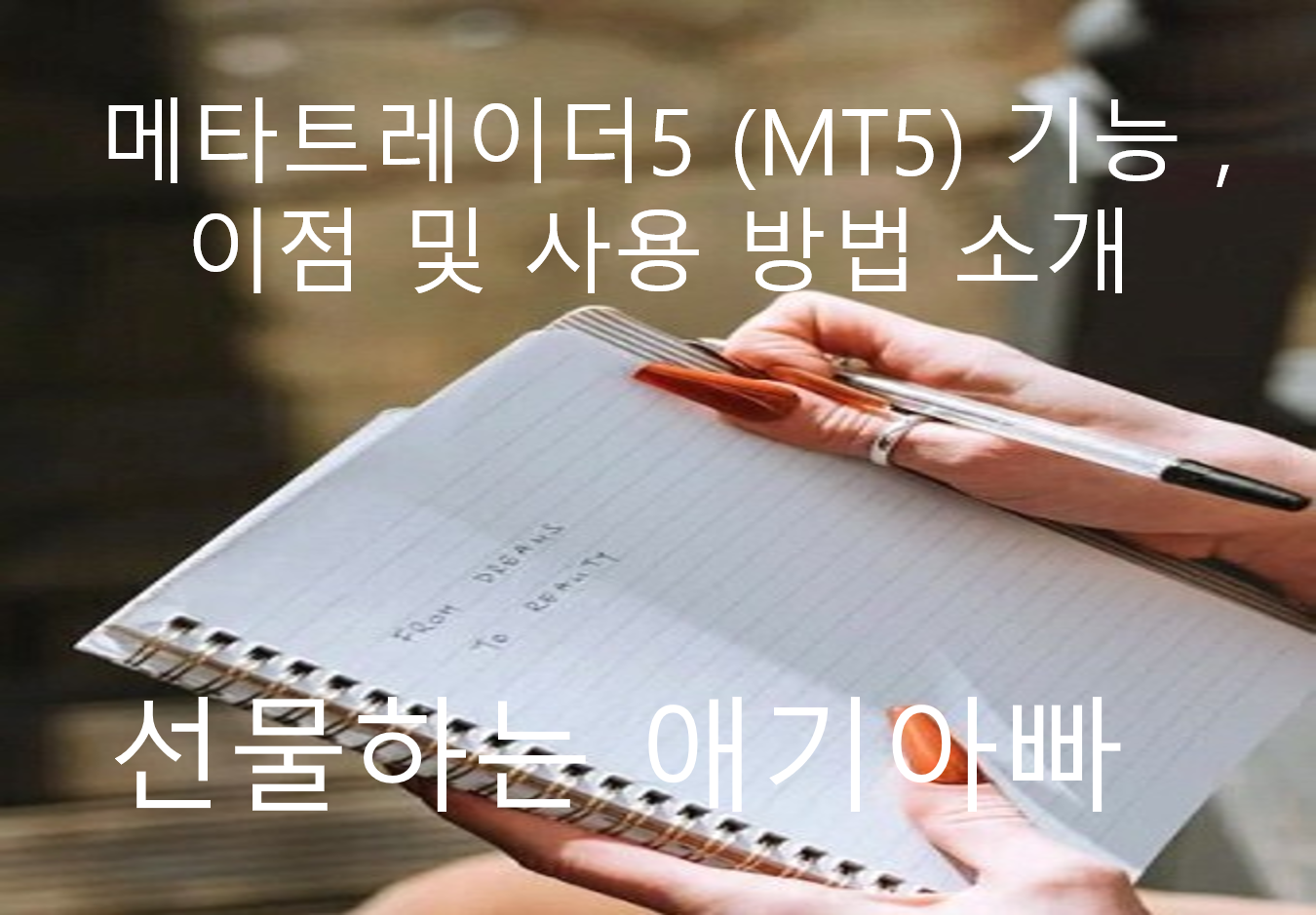 메타스퀘어글로벌 이미지