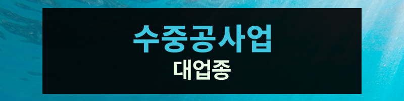 수중공사업