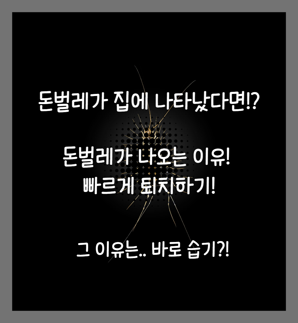  돈벌레(그리마)가 생기는 이유, 그리고 퇴치방법, 돈벌레 나오는 이유