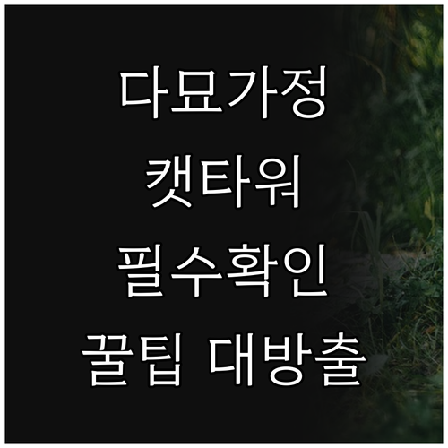 다묘 가정을 위한 캣타워 선택, 이것