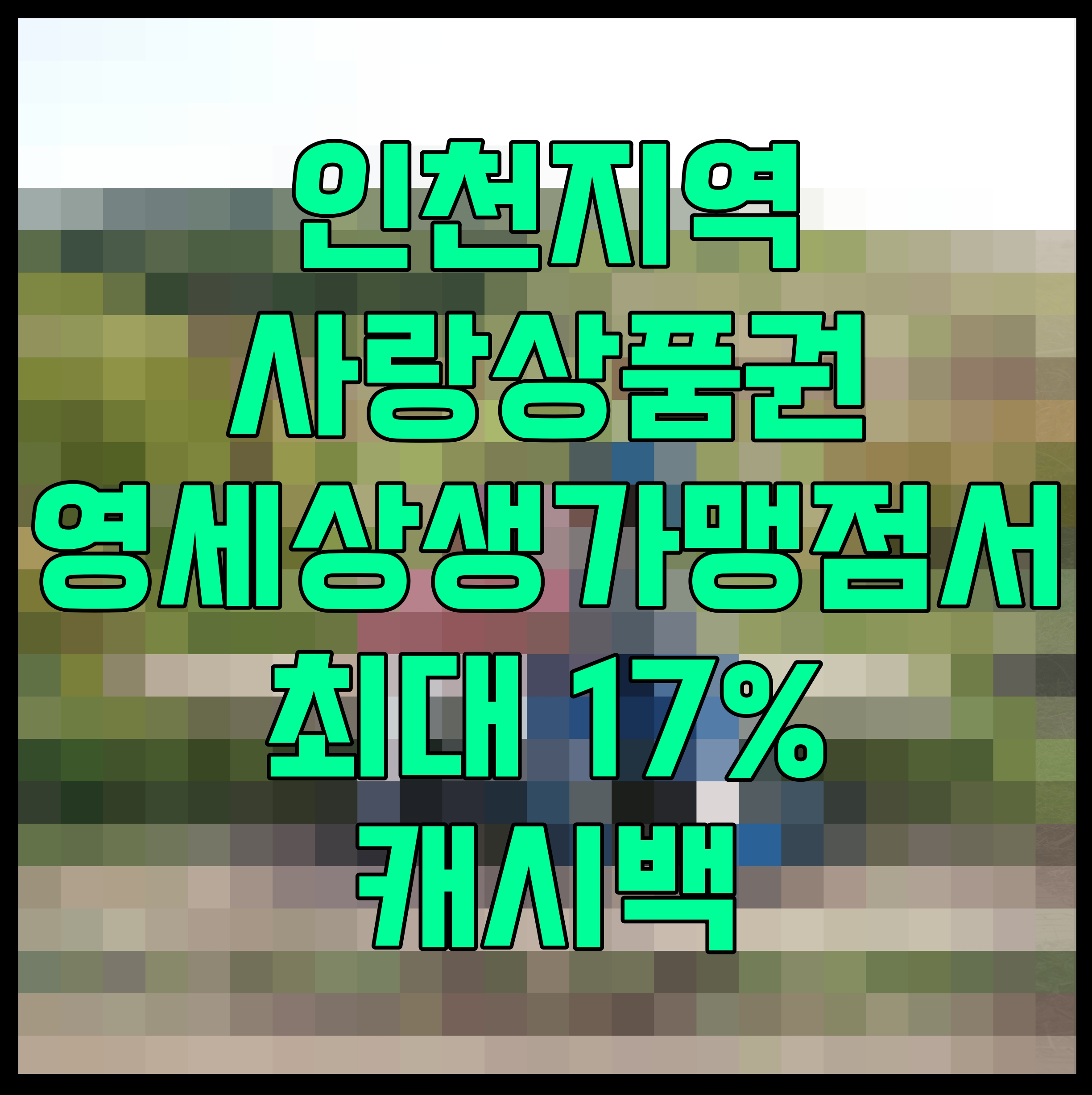  인천 지역 사랑 상품권 영세상생가맹점서 최대 17% 캐시백