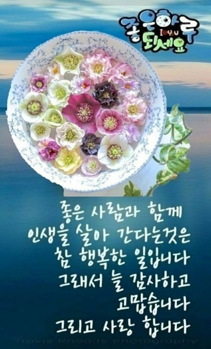  오늘의 좋은글 310번째 성공으로 가는 곳에서 맞닥뜨리는 변화는 기회가 될 수 있습니다