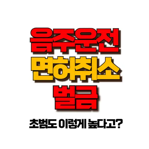 음주운전면허취소 벌금 썸네일