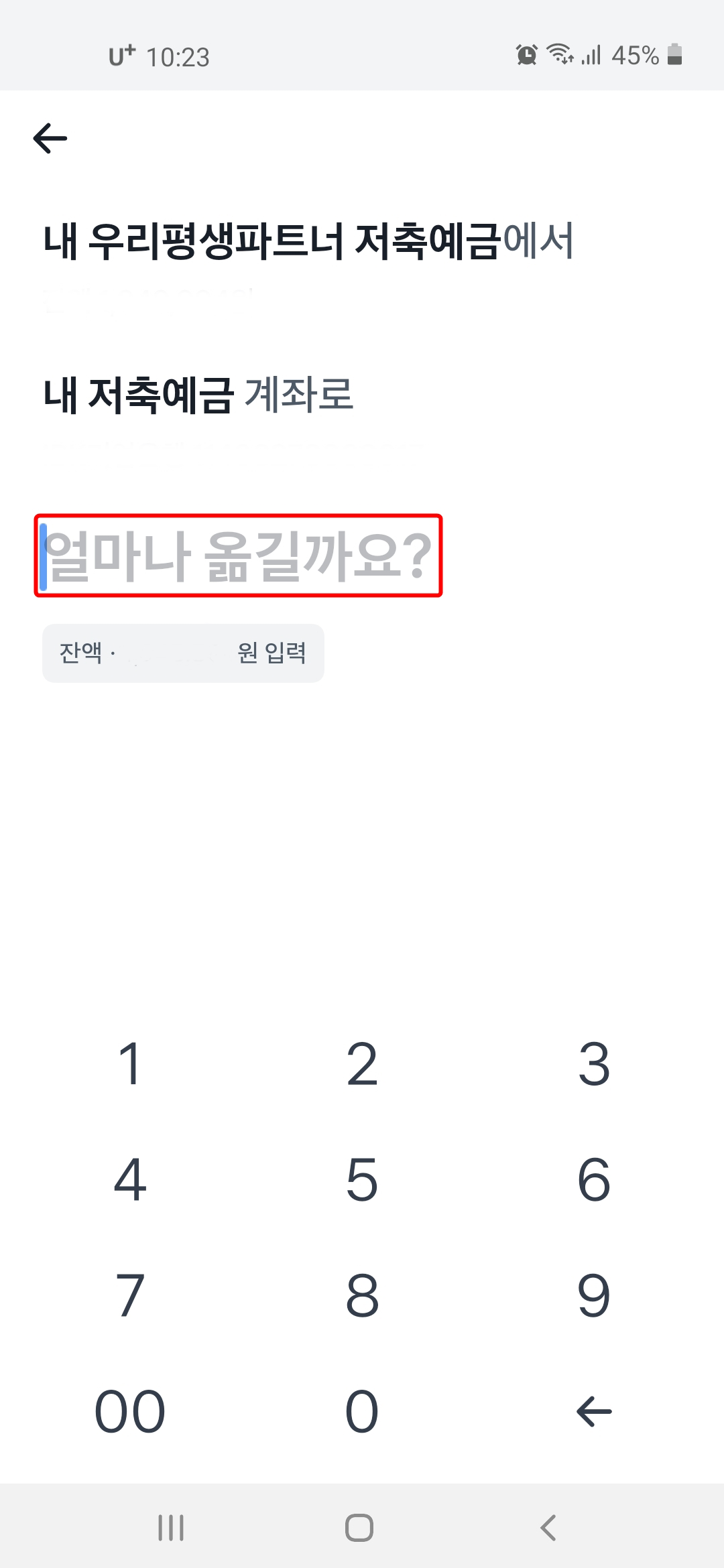 송금금액