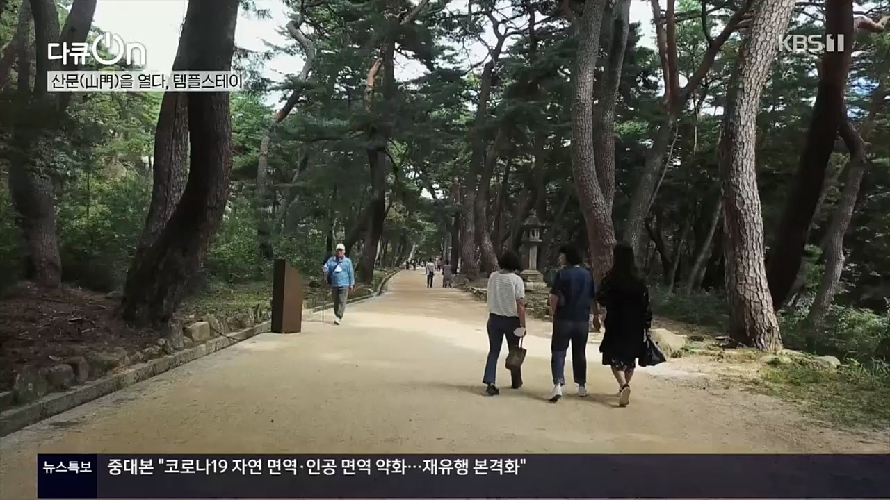 다큐 On.E170.221112p.H264-F1RST.mp4_20221120_145134.242.jpg
