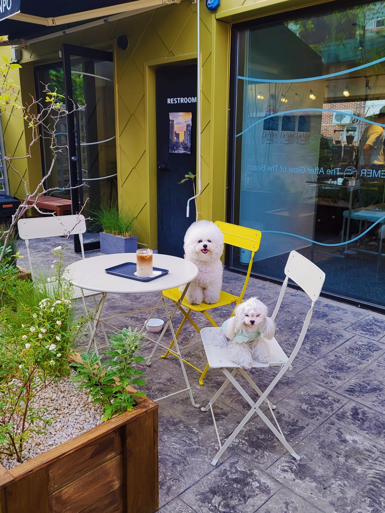  부산 전포 서면 전리단길 카페_드메르 Demer 전포_애견동반 카페 테라스 맛집