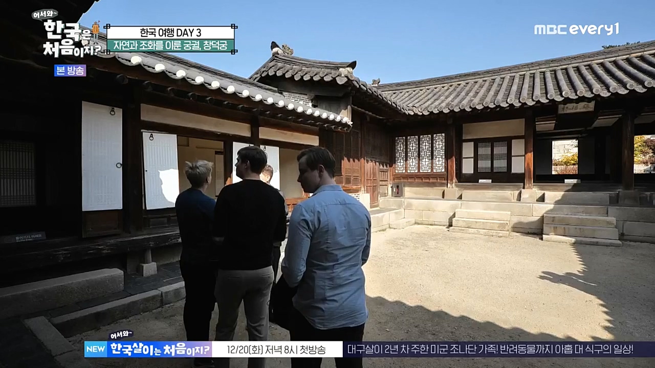 어서와 한국은 처음이지 시즌2.E241.221216p-NEXT.mp4_20221216_201252.471.jpg