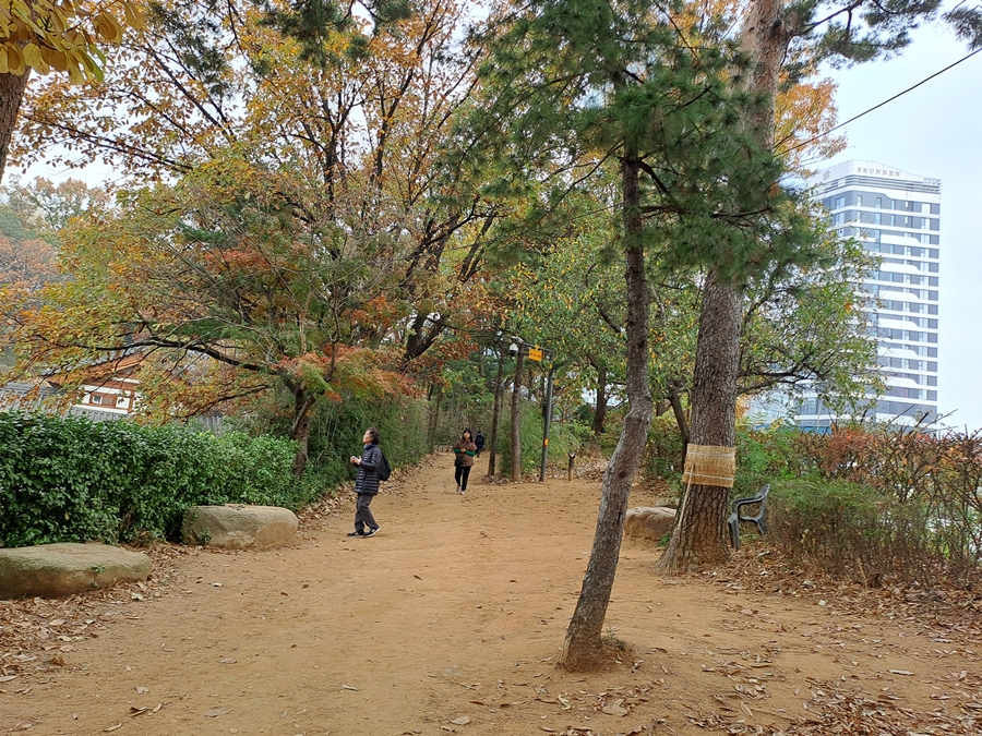명상길_01