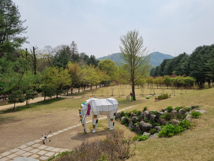 남이섬 배시간표 남이섬 배시간표, 할인 방법, 47