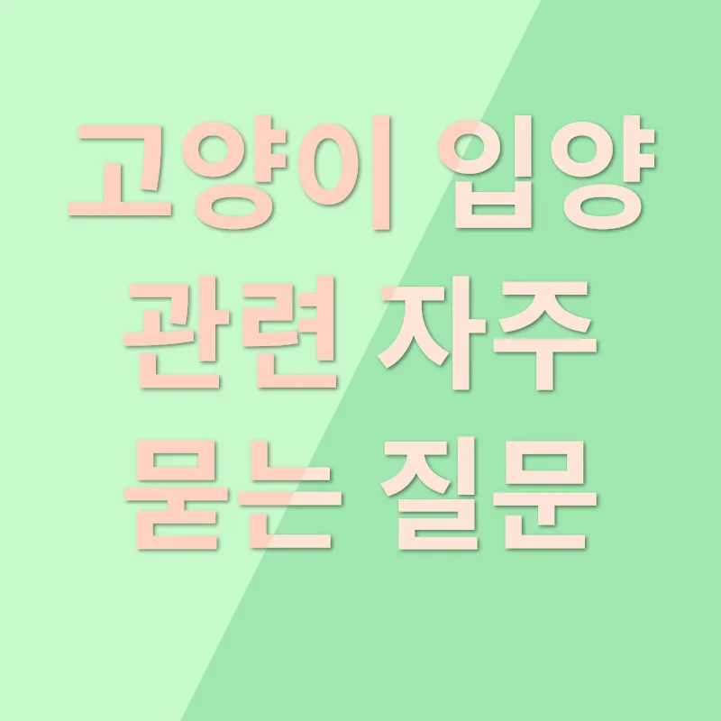 인천 고양이 입양_4