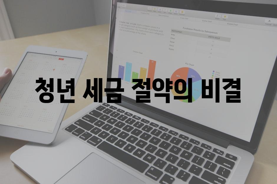 청년 세금 절약의 비결