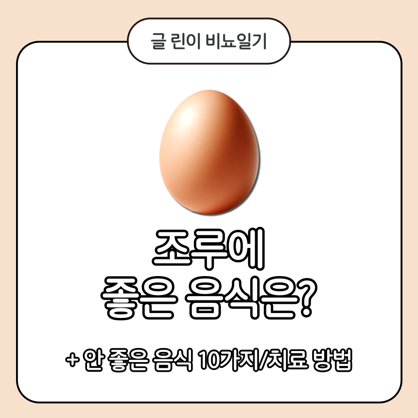  조루에 좋은 음식은?