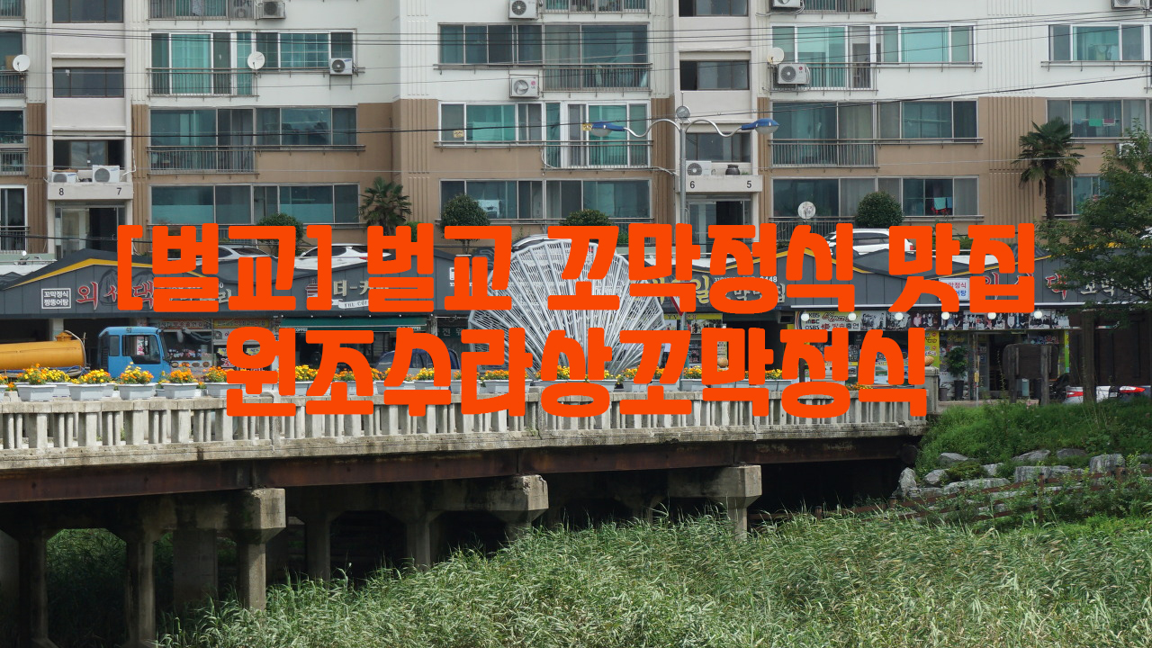  [벌교] 벌교 꼬막정식 맛집…원조수라상꼬막정식