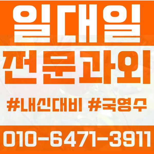  수원 호매실동 초등영어과외 중학생수학과외 선행 예습 복습