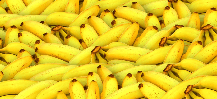 수많은 바나나