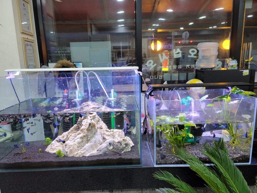 해장국과 사랑에 빠집시다. 4