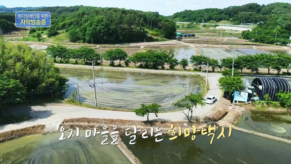 다큐 On.E203.230624p.H264-F1RST.mp4_20230708_173325.934.jpg