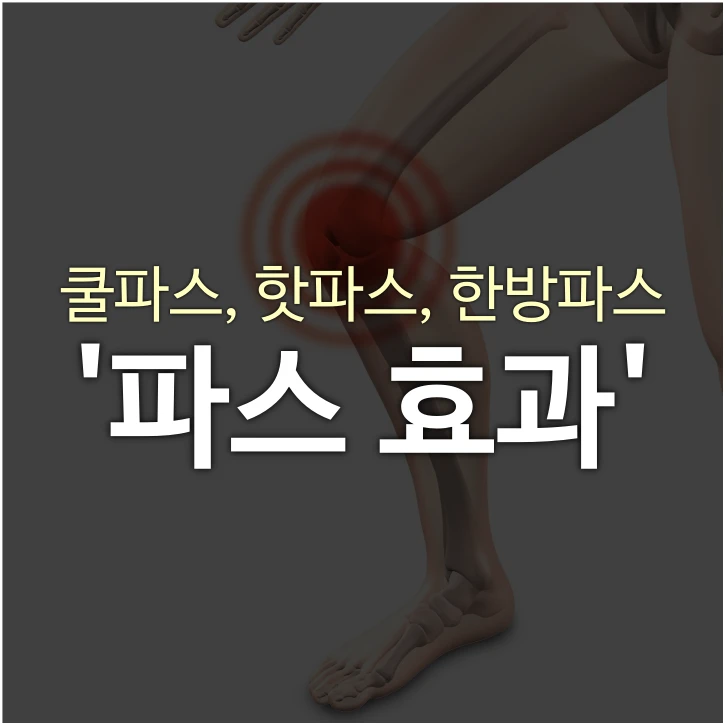 쿨파스-핫파스-한방파스-파스-효과