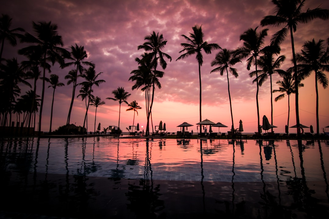 Tropical