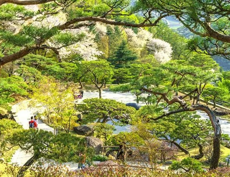 2025 화담숲 예약하기