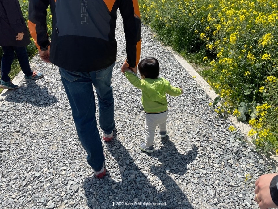 영산강 나주 유채꽃 나들이 12