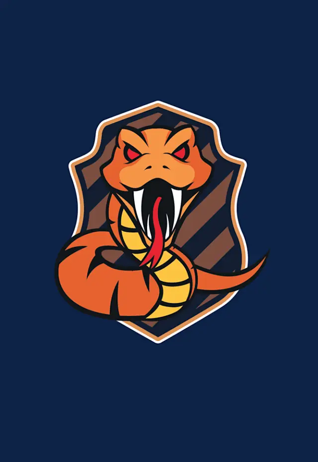 SBS 예능 골때리는 그녀들 FC 아나콘다 심볼