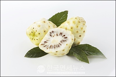노니의 10가지 이점과 부작용 목록 31