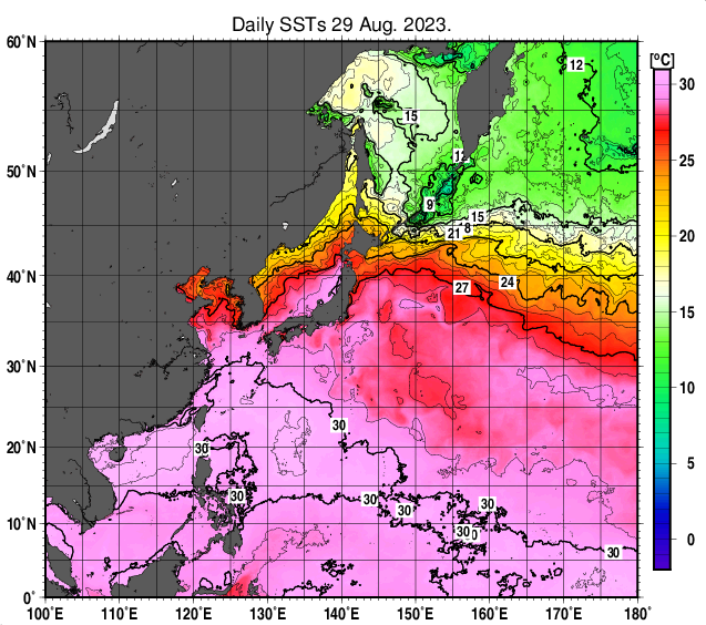 8월 29일 북서태평양 해수면 온도