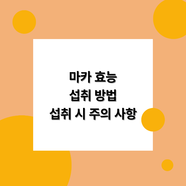 마카 효능 섭취 방법 섭취 시 주의사항